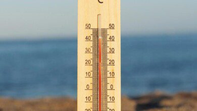 Февраль в Болгарии